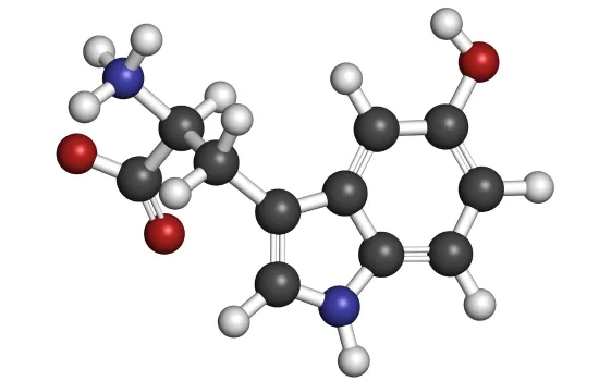 A Chemical Structure of 5-HTP
