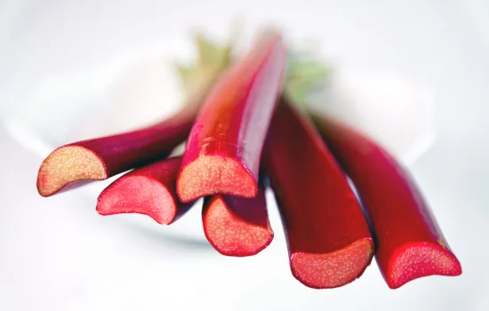 A Chemical Structure of Rhubarb Root Powdered Extract