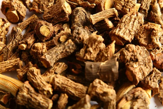 A Chemical Structure of Sarsaparilla Root
