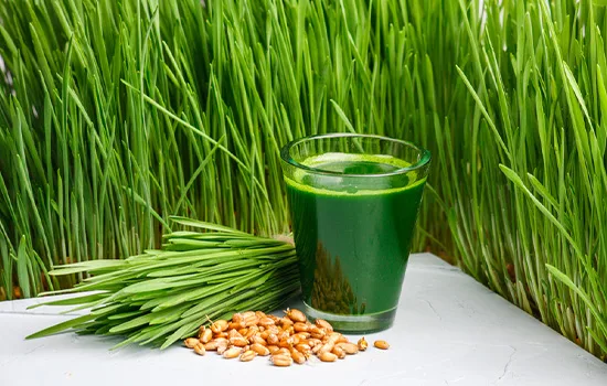 A Chemical Structure of Wheat Grass