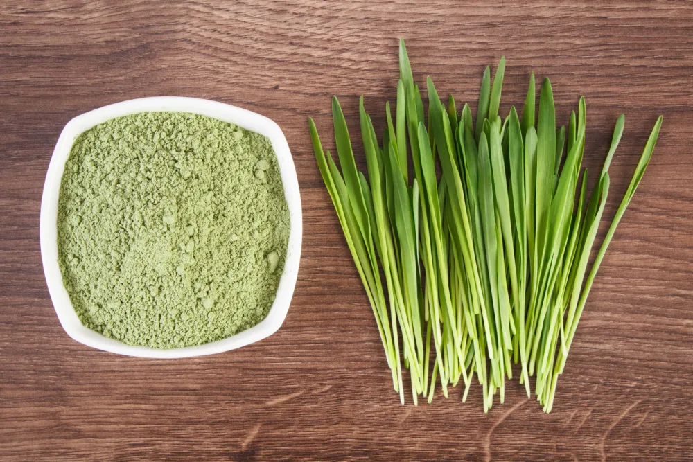 A Chemical Structure of Barley Grass Organic