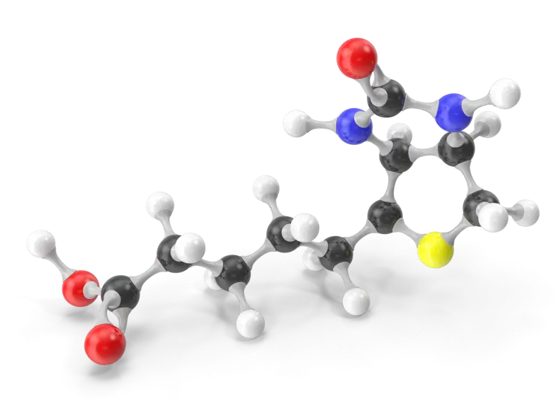 A Chemical Structure of Biotin