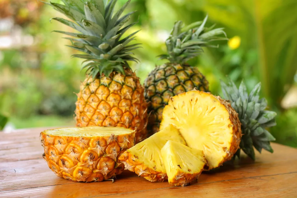 A Chemical Structure of Bromelain