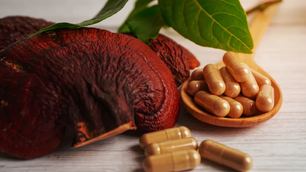 Whole red reishi mushrooms next to capsules filled with brownish powder.