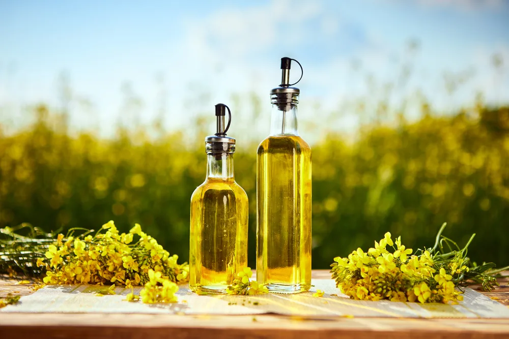 A Chemical Structure of Canola Oil