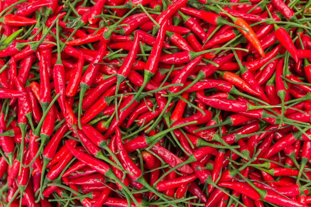 A Chemical Structure of Cayenne Extract