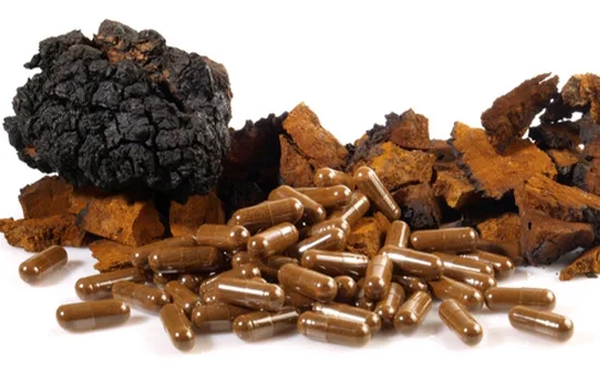 A Chemical Structure of Chaga Mushroom