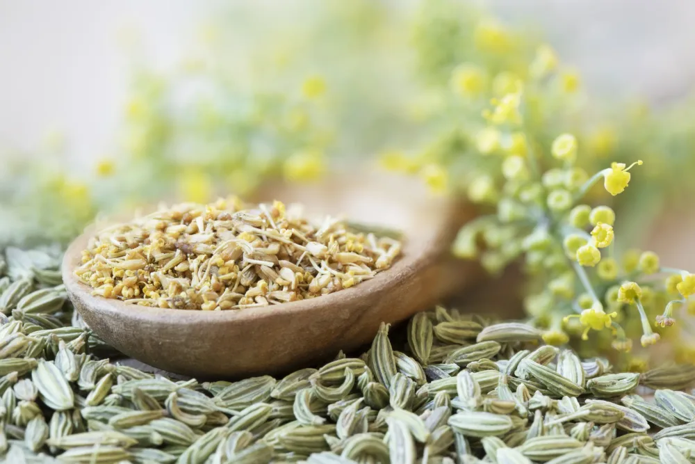 A Chemical Structure of Fennel Seed