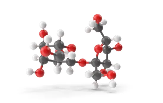A Chemical Structure of Sucrose
