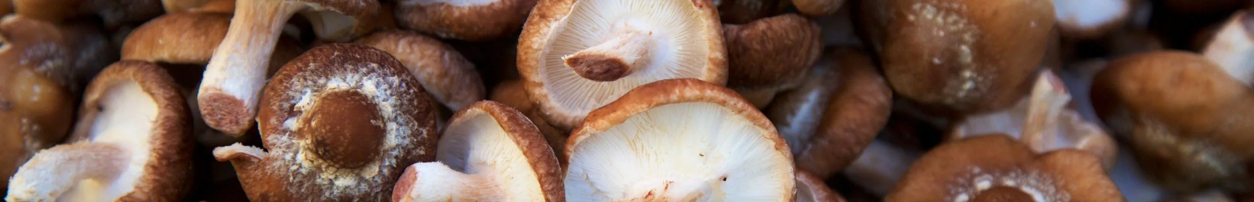Category image