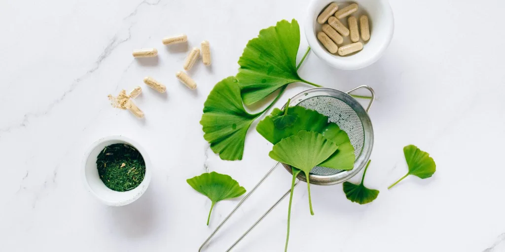 Ginkgo biloba leaves alongside capsules filled with ginkgo biloba powder.