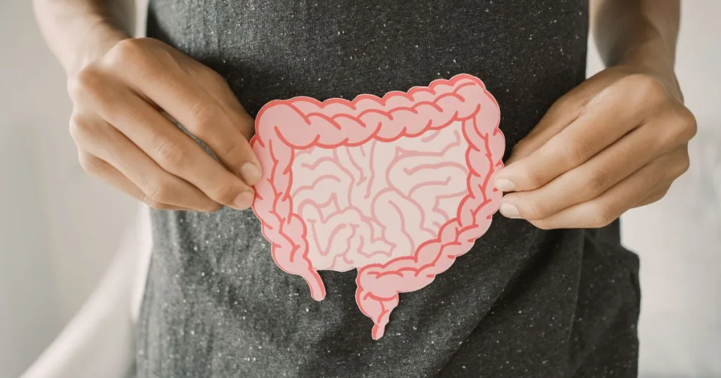 A person holding a paper drawing of the intestinal system.