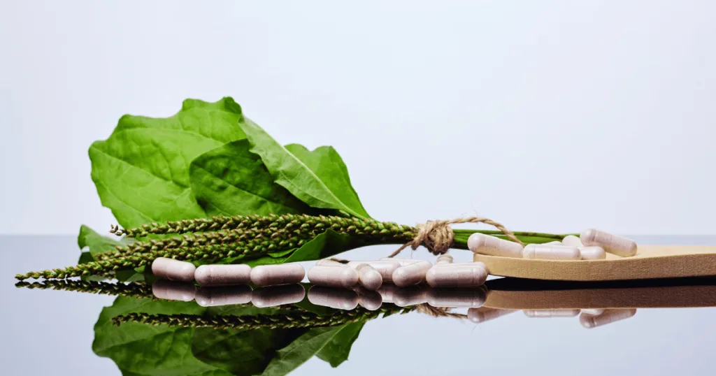 Filled clear pullulan capsules against a botanical ingredient.