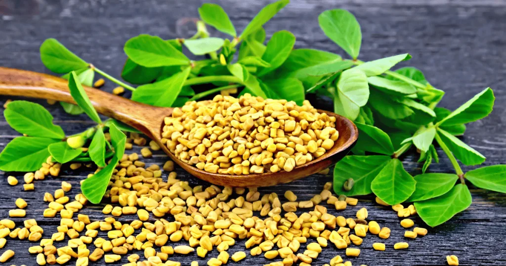 Fenugreek seeds inside a wooden spoon and scattered on a wooden table, surrounded by fresh green fenugreek leaves.