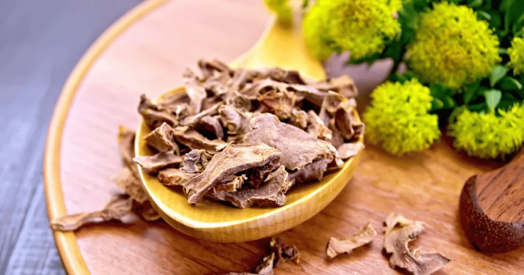 A wooden spoon filled with dried rhodiola herbs alongside yellow rhodiola flowers.