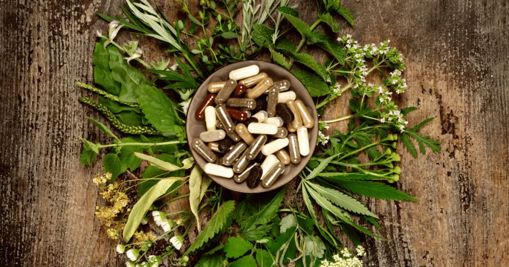 Filled capsules and tablets surrounded by a variety of fresh botanical leaves.