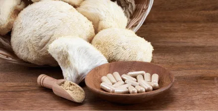 A scoop of brown powder next to capsules filled with brown powder, against several lion's mane mushrooms.