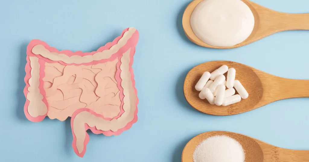 A paper-cut out illustration of the intestines, with three spoons filled with white powder, liquid, and tablets for beauty supplements.