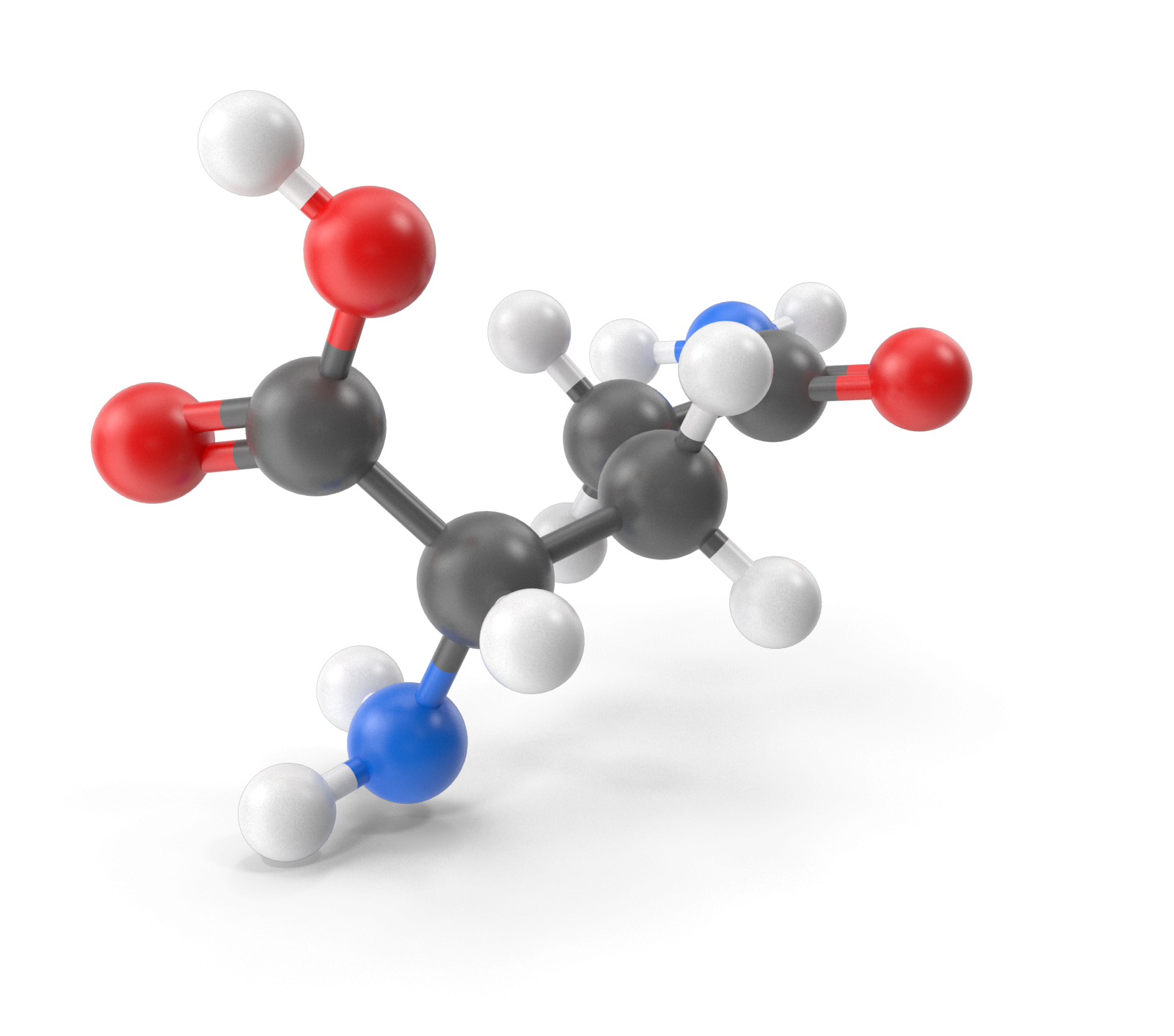 A chemical structure of Glutamine.